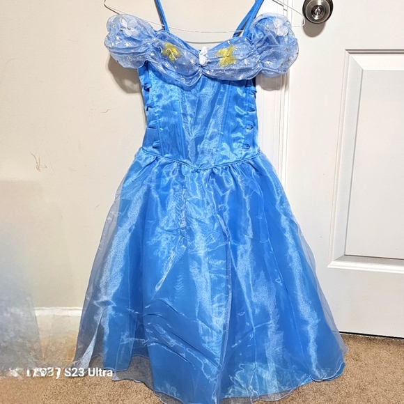Princess Cinderella Dress Costume - Picture 1 of 8